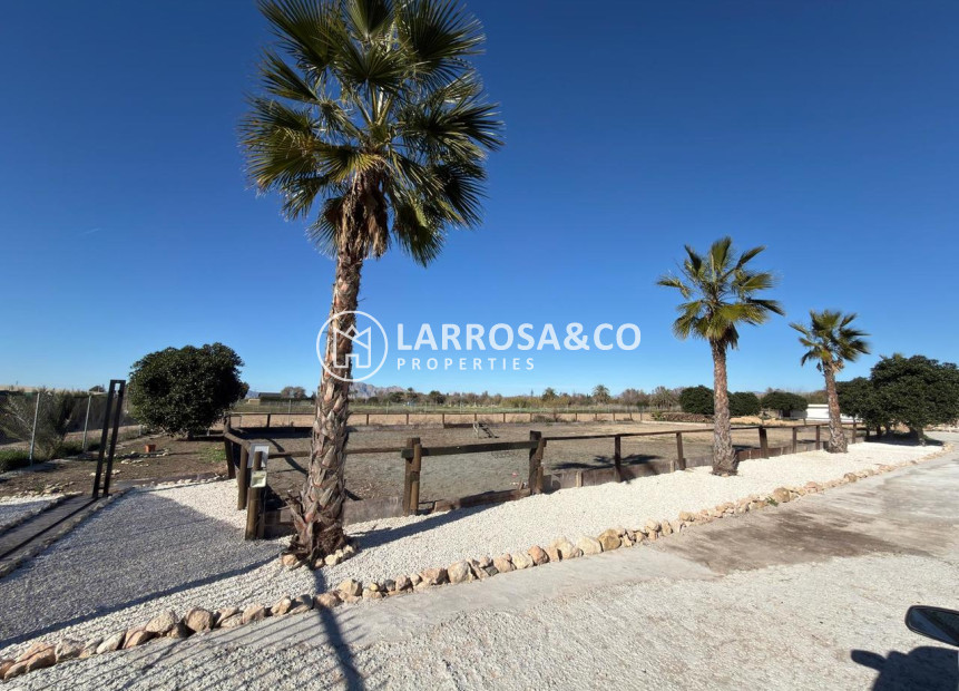 Reventa - Land - Algorfa - Inland