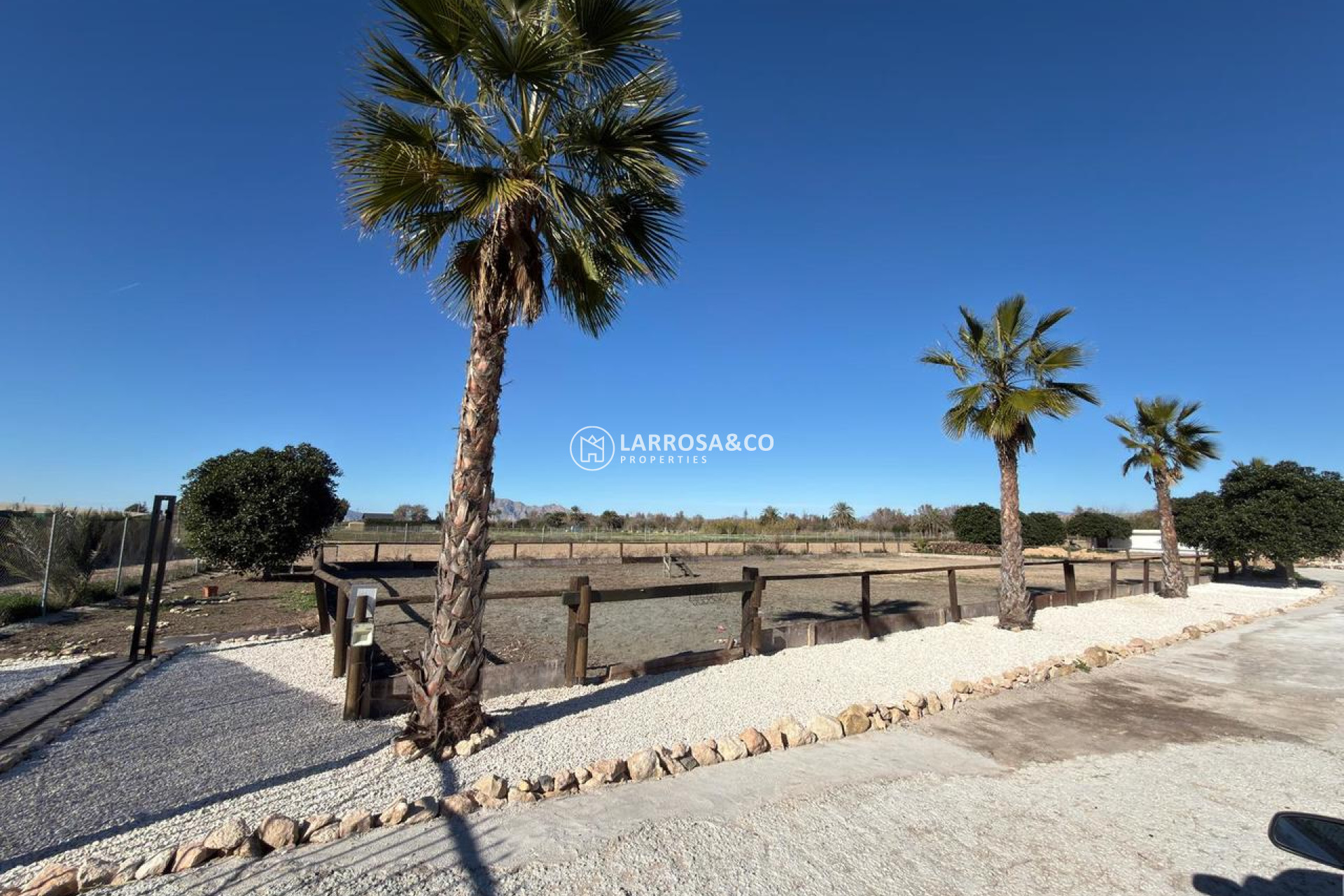 Reventa - Land - Algorfa - Inland