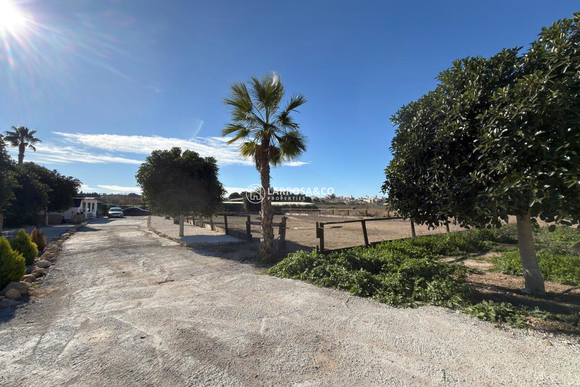 Reventa - Land - Algorfa - Inland