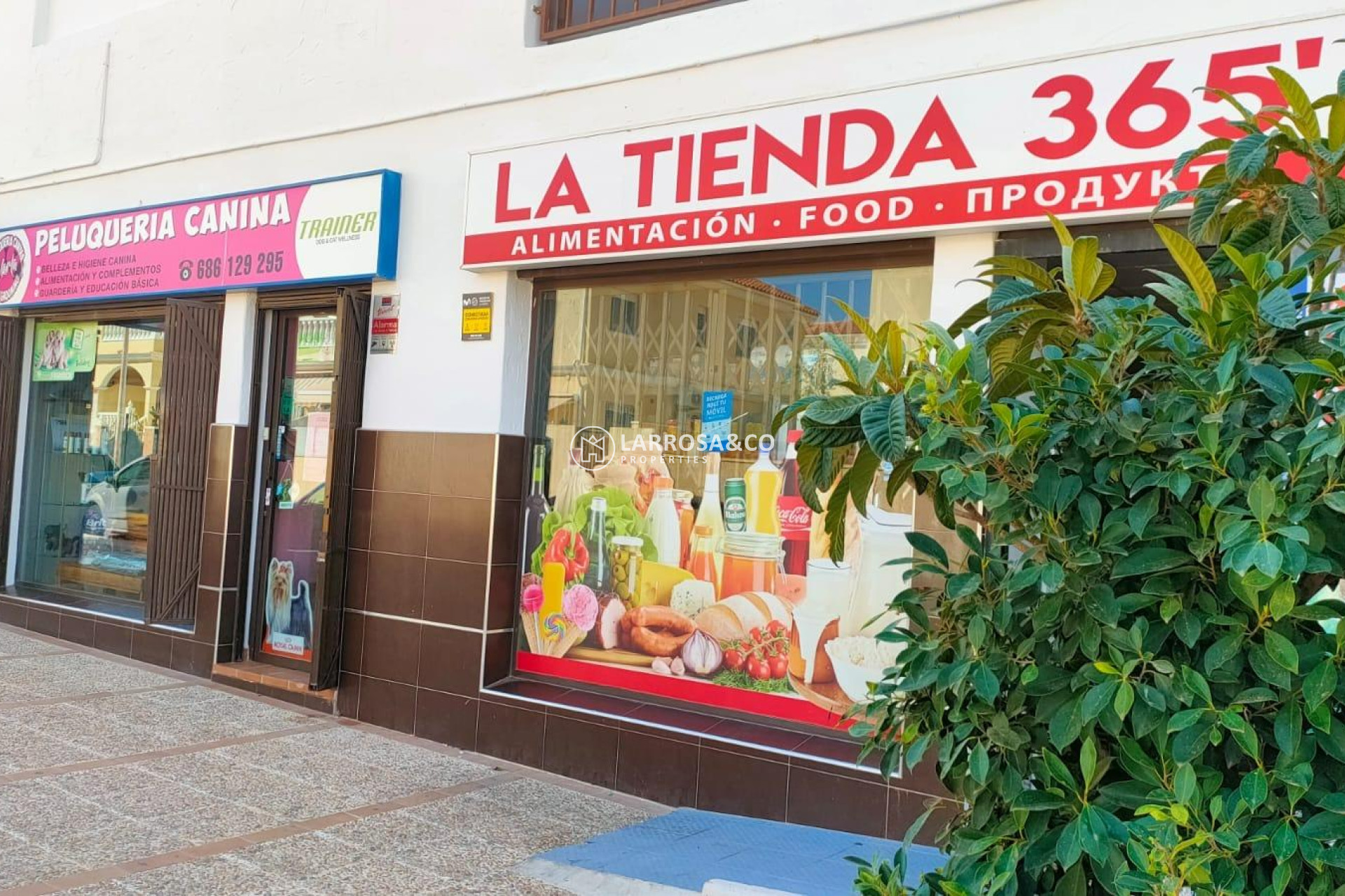 Reventa - Local - Torrevieja - Aguas Nuevas