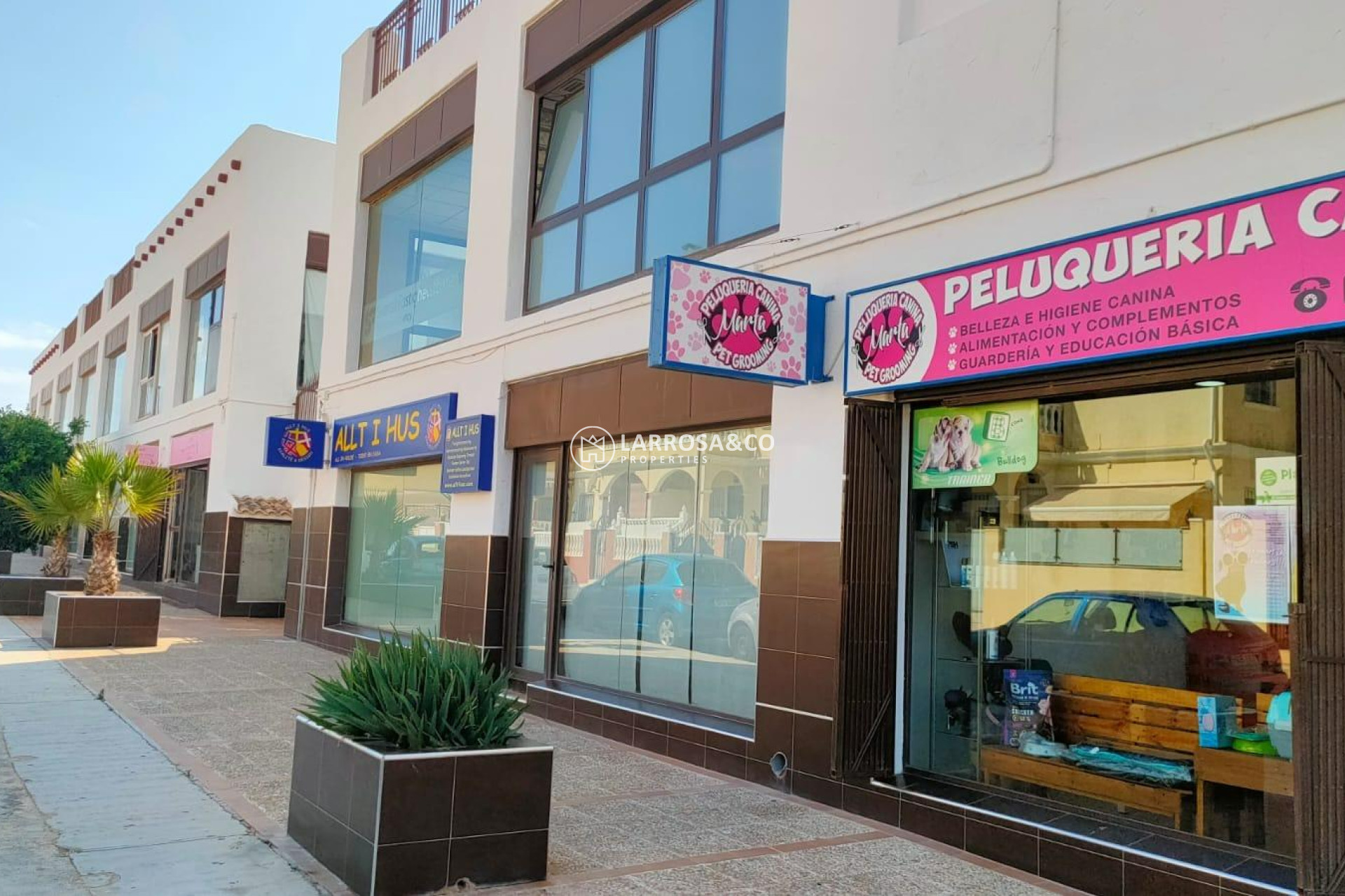 Reventa - Local - Torrevieja - Aguas Nuevas