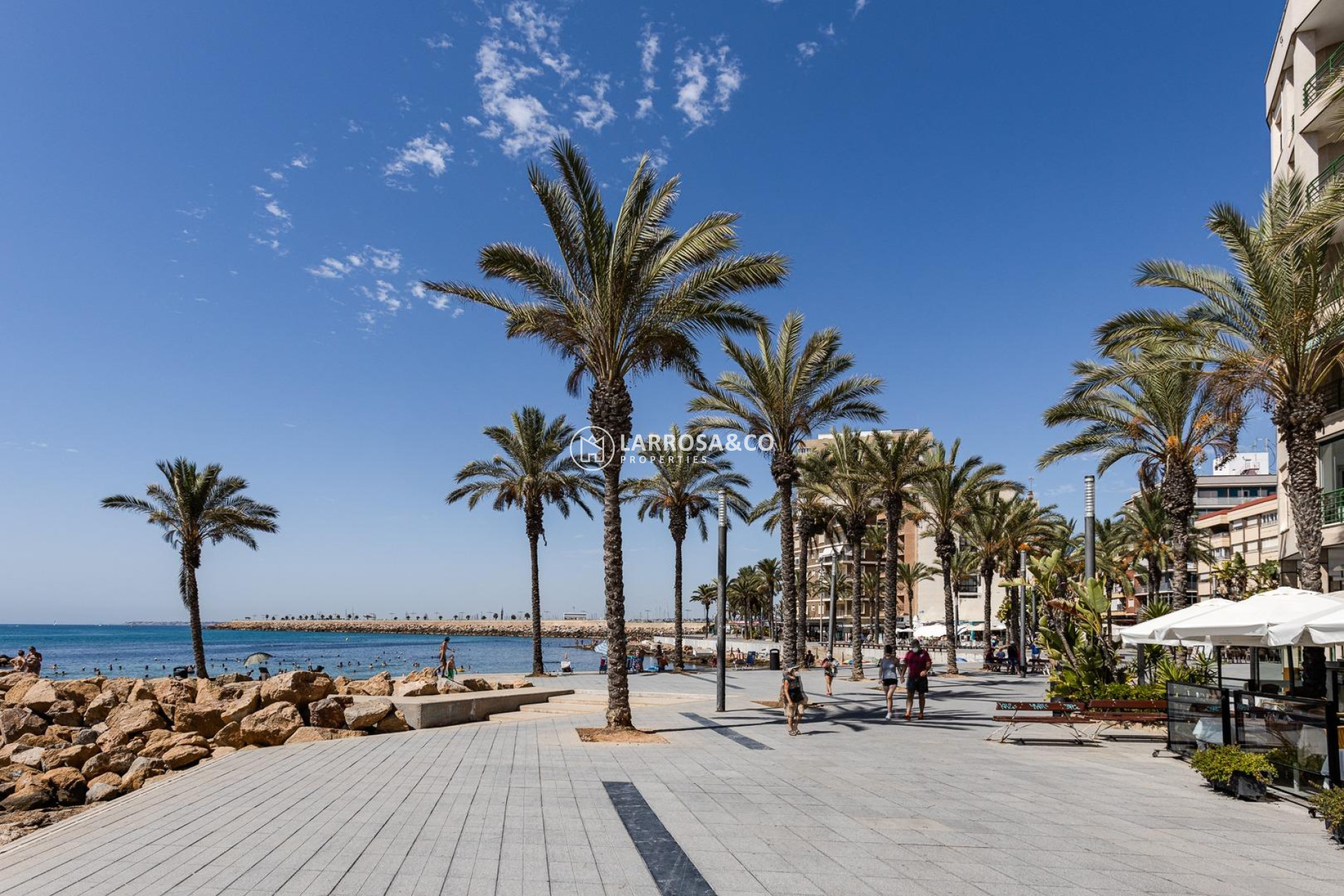 Reventa - Local - Torrevieja - Estacion de autobuses