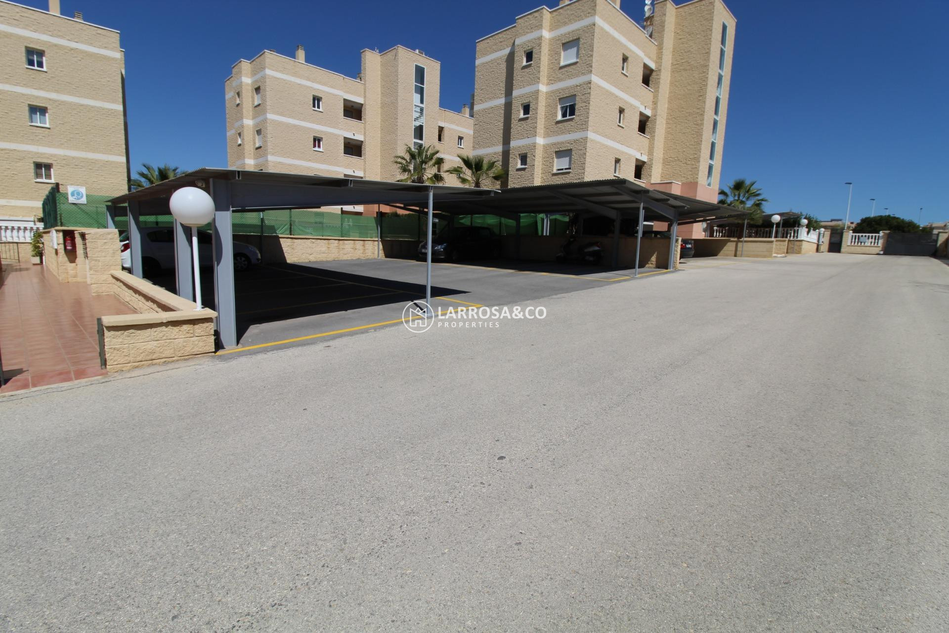 Reventa - Planta baja - Torrevieja - Aguas Nuevas