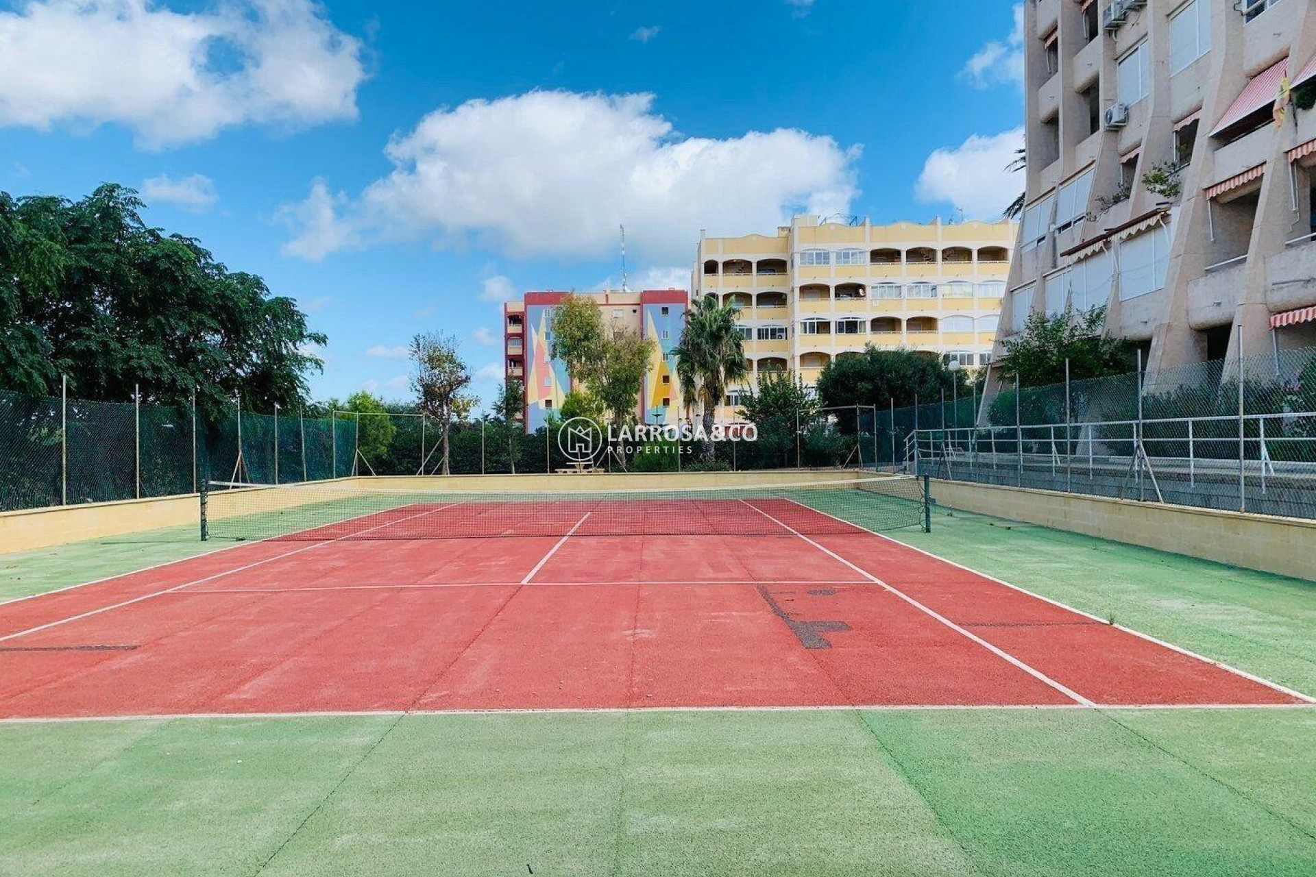 Reventa - Planta baja - Torrevieja - Aguas Nuevas