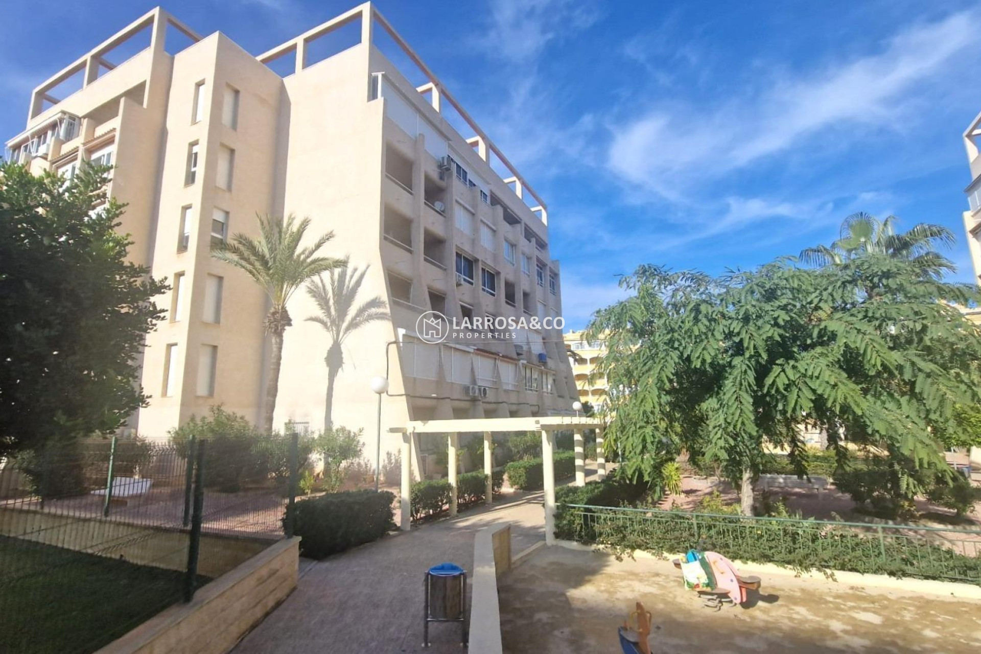 Reventa - Planta baja - Torrevieja - Aguas Nuevas