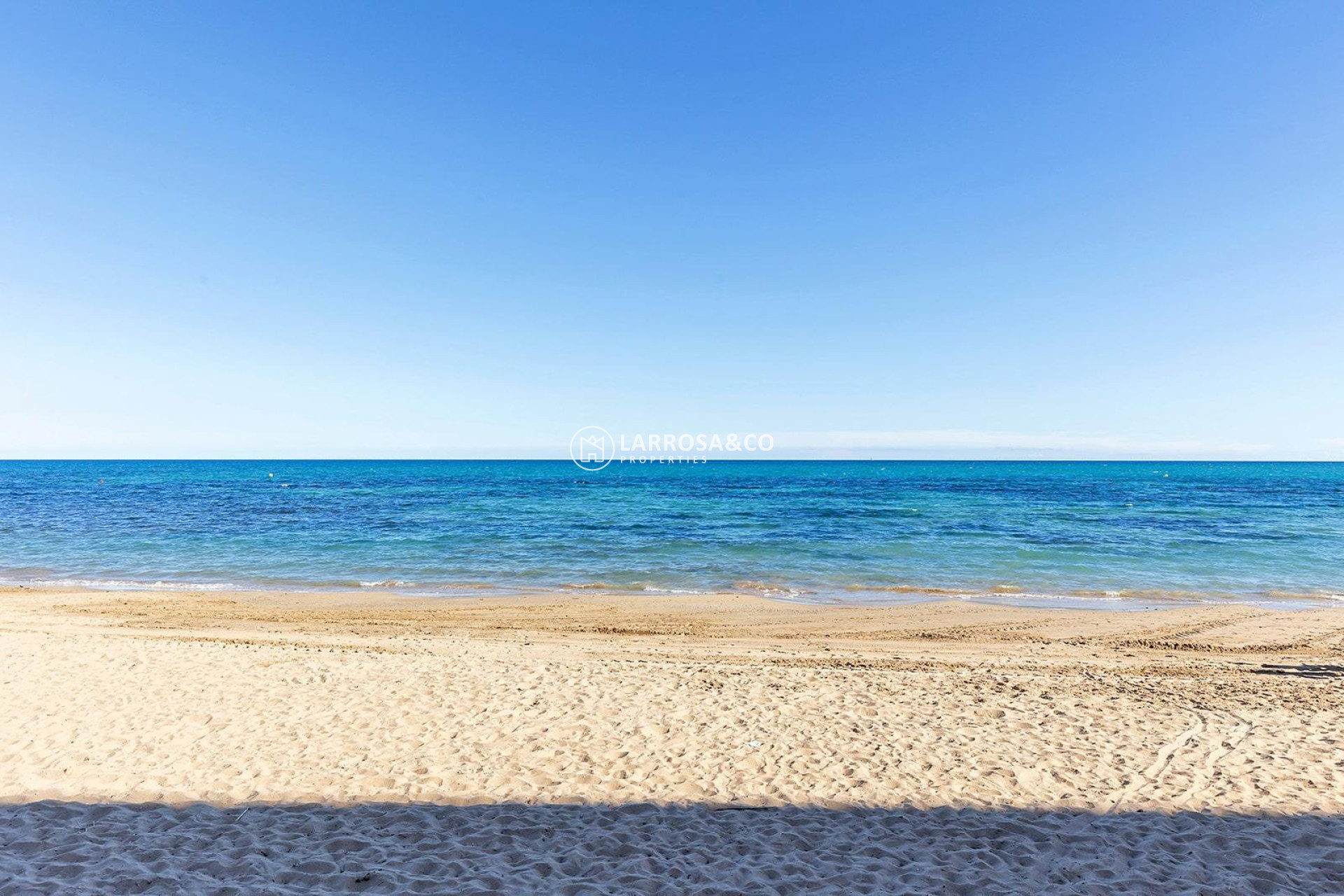 Reventa - Planta baja - Torrevieja - La Mata