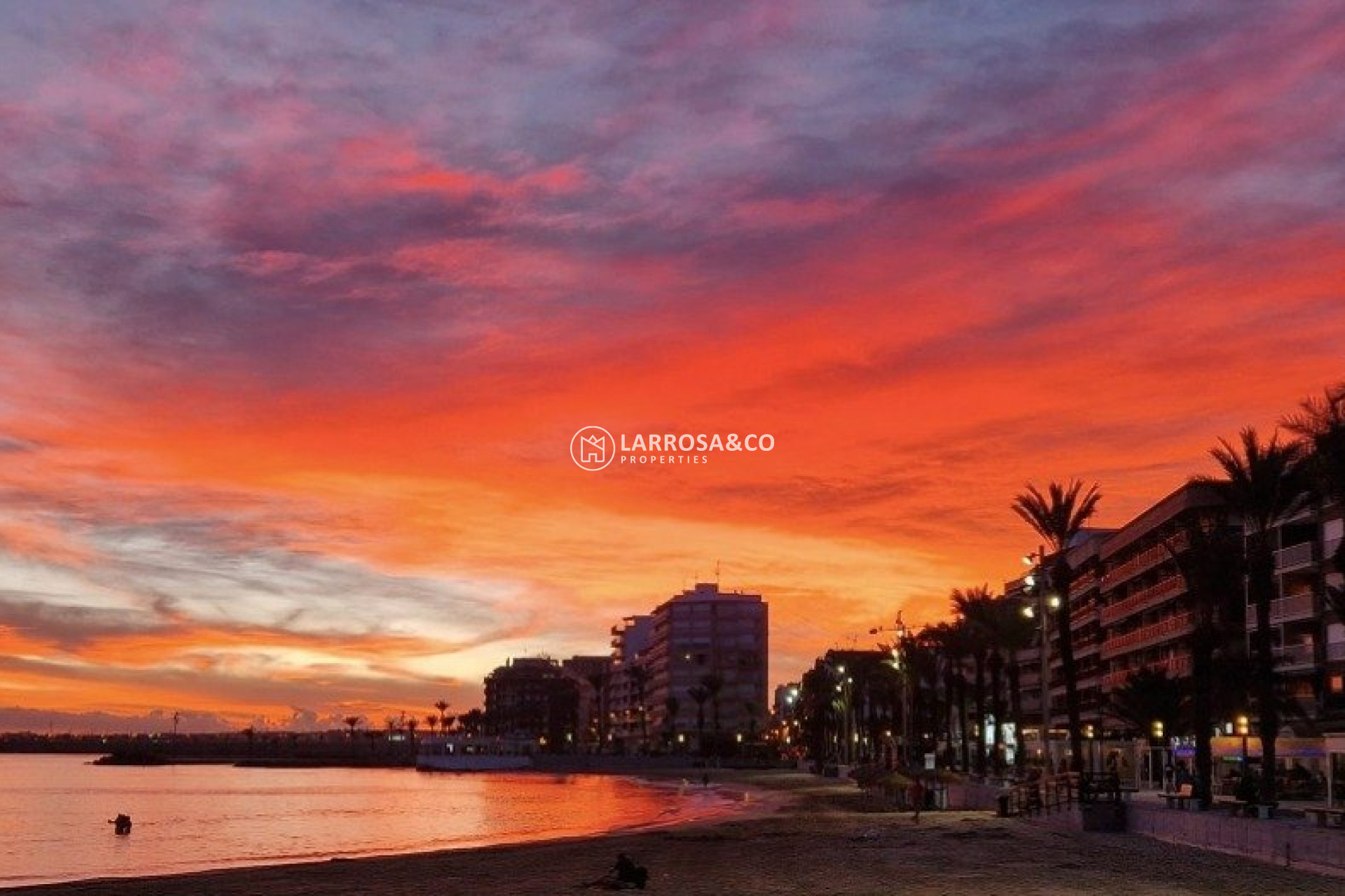 Reventa - Planta baja - Torrevieja - Playa del cura