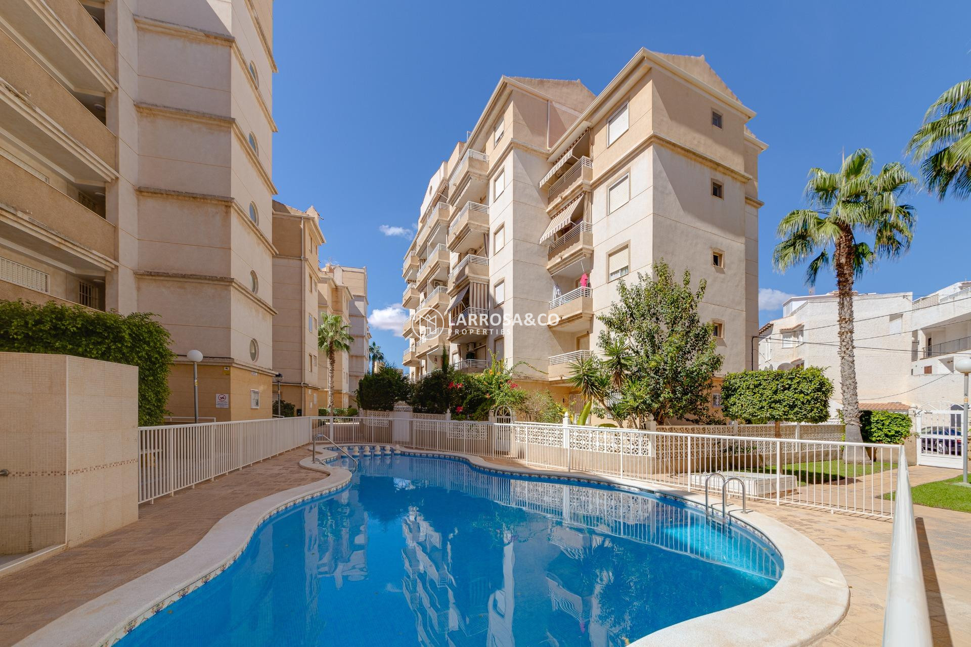 Reventa - Planta baja - Torrevieja - Playa Los Locos