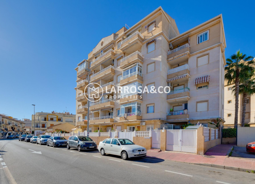 Reventa - Planta baja - Torrevieja - Playa Los Locos