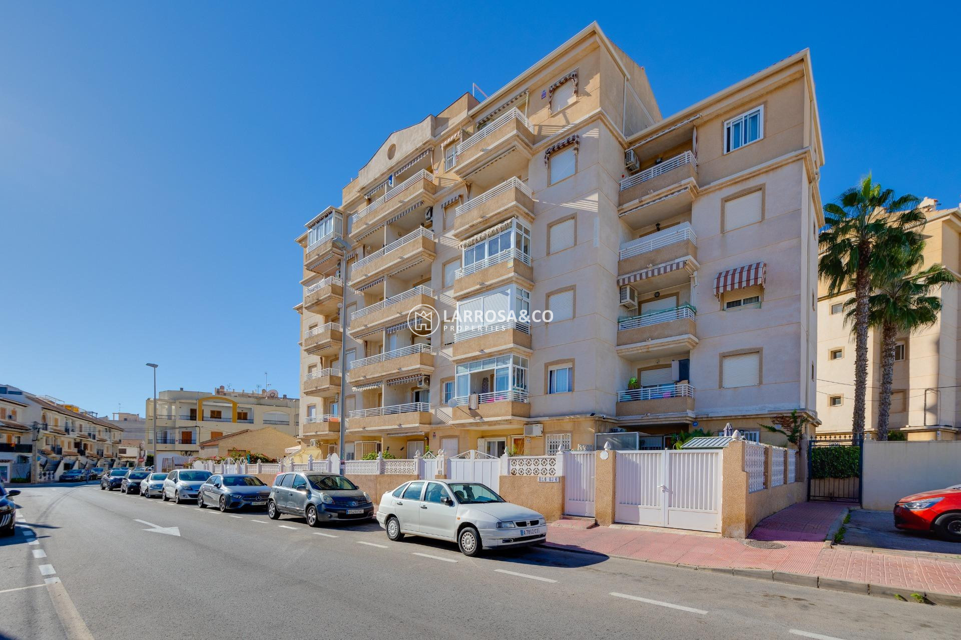 Reventa - Planta baja - Torrevieja - Playa Los Locos
