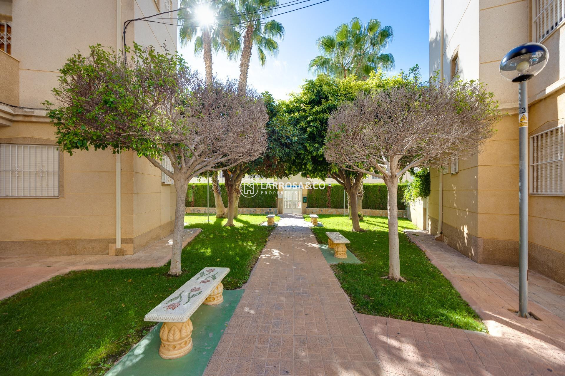 Reventa - Planta baja - Torrevieja - Playa Los Locos