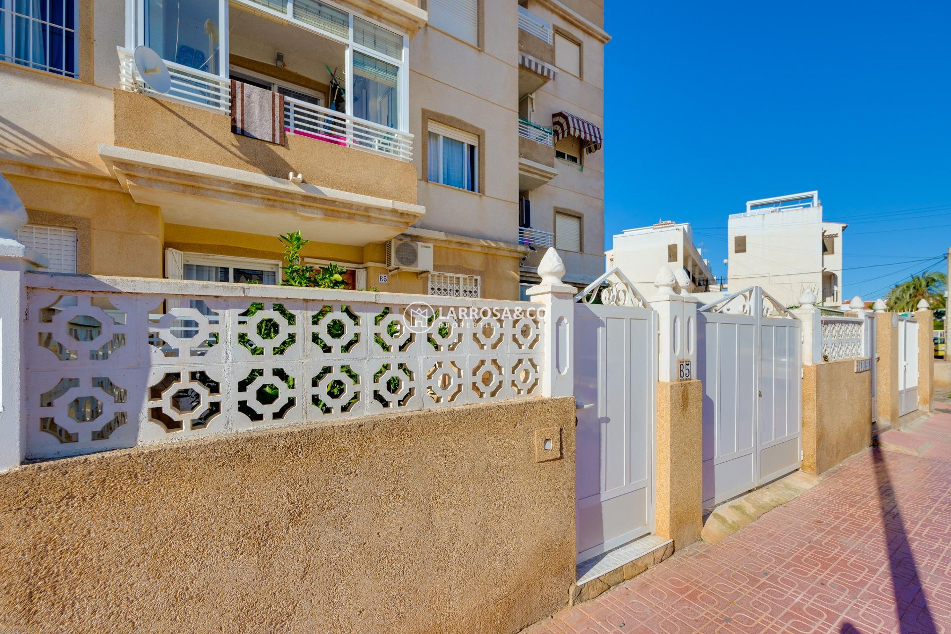 Reventa - Planta baja - Torrevieja - Playa Los Locos