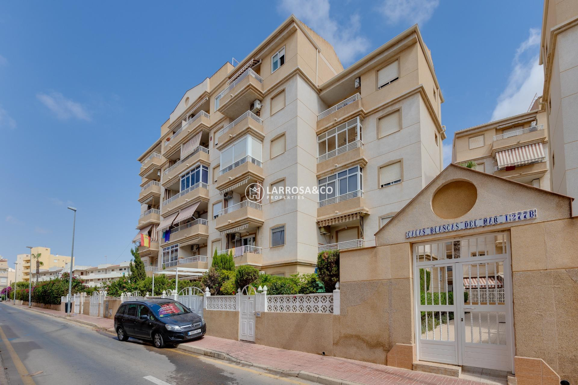 Reventa - Planta baja - Torrevieja - Playa Los Locos