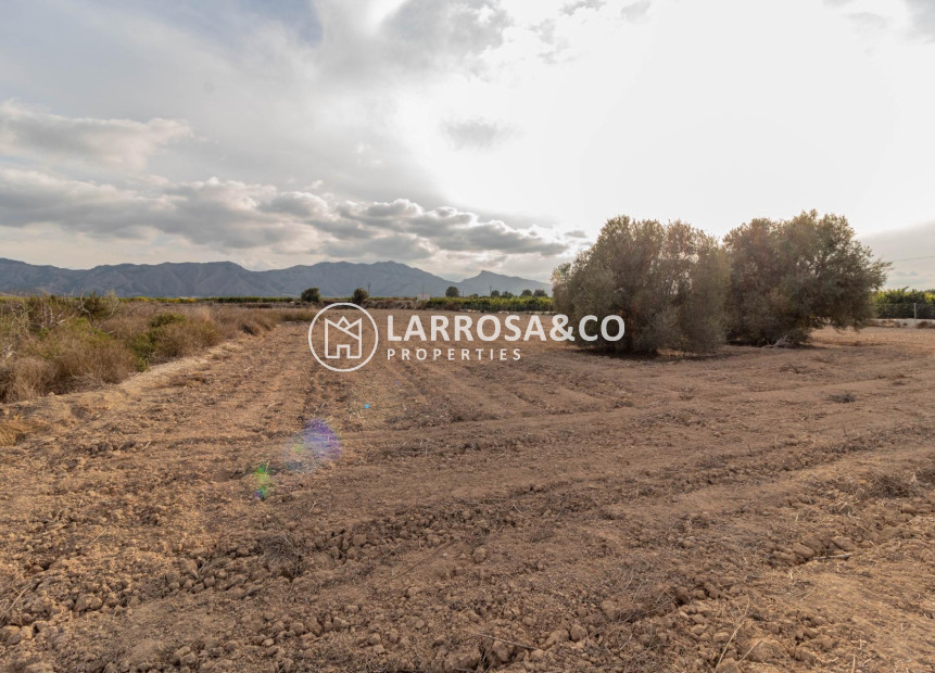 Reventa - Solar/Terrena/Parcelas - Benferri - Campo