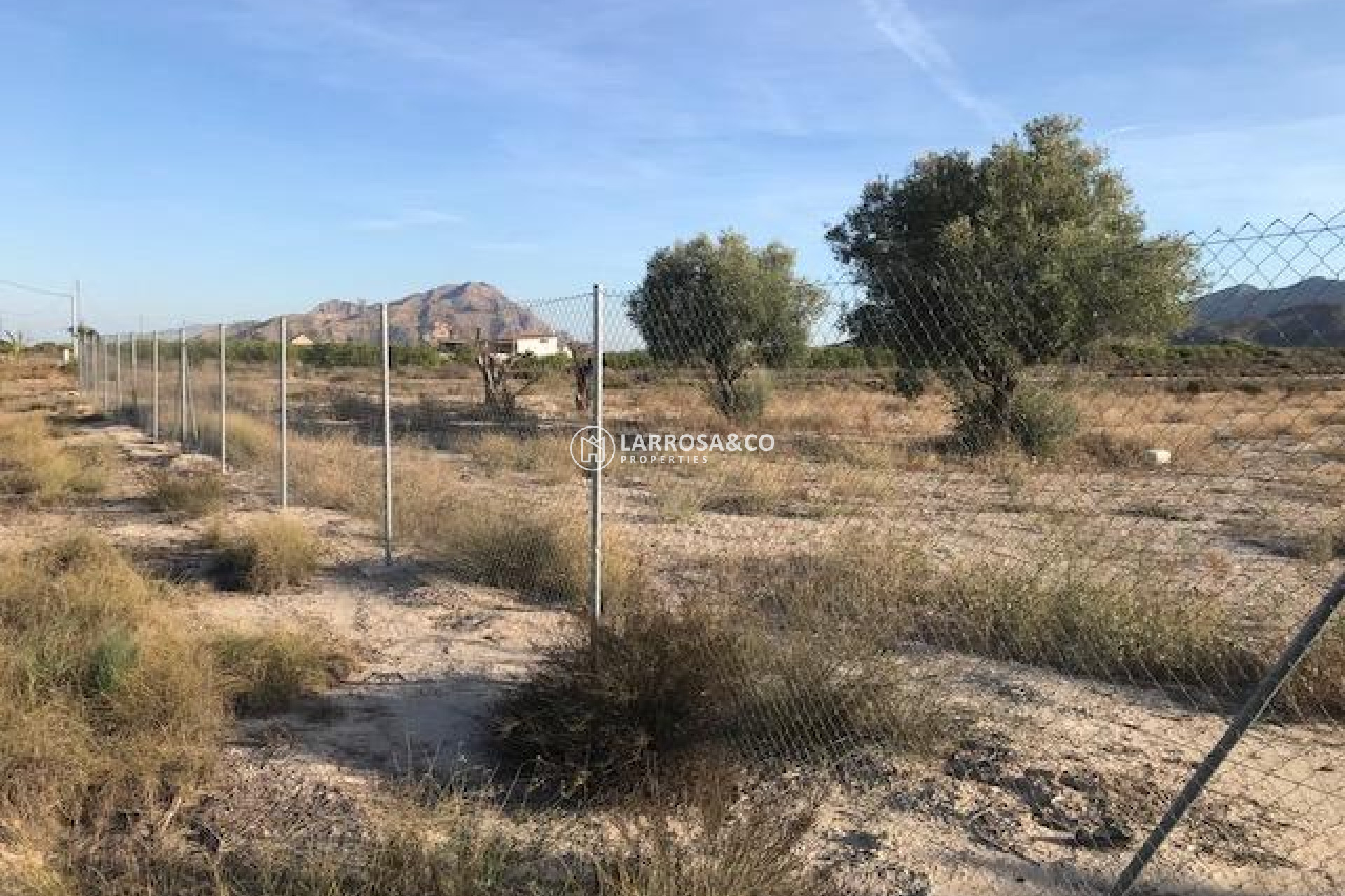 Reventa - Solar/Terrena/Parcelas - Benferri - Campo