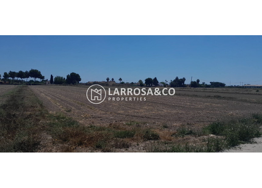 Reventa - Solar/Terrena/Parcelas - Dolores