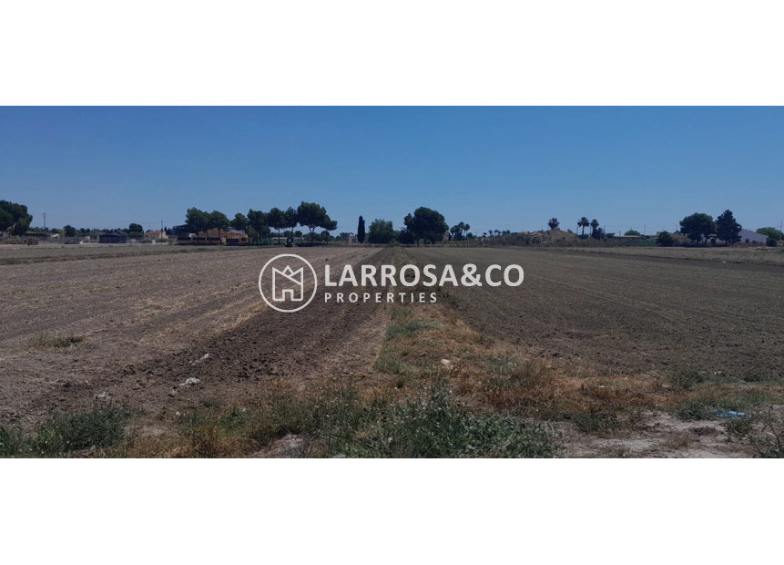 Reventa - Solar/Terrena/Parcelas - Dolores