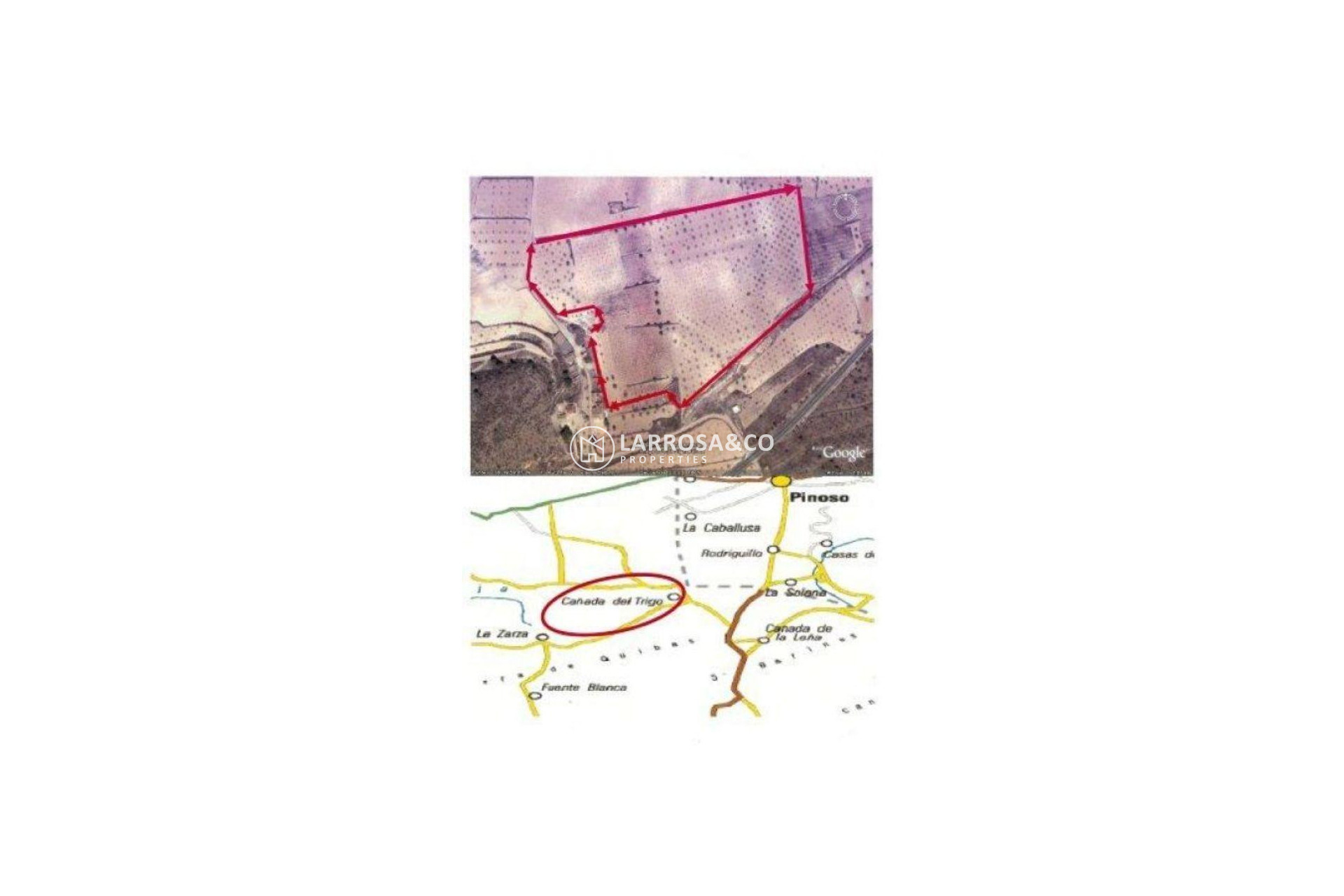 Reventa - Solar/Terrena/Parcelas - Jumilla - CAÑADA DEL TRIGO