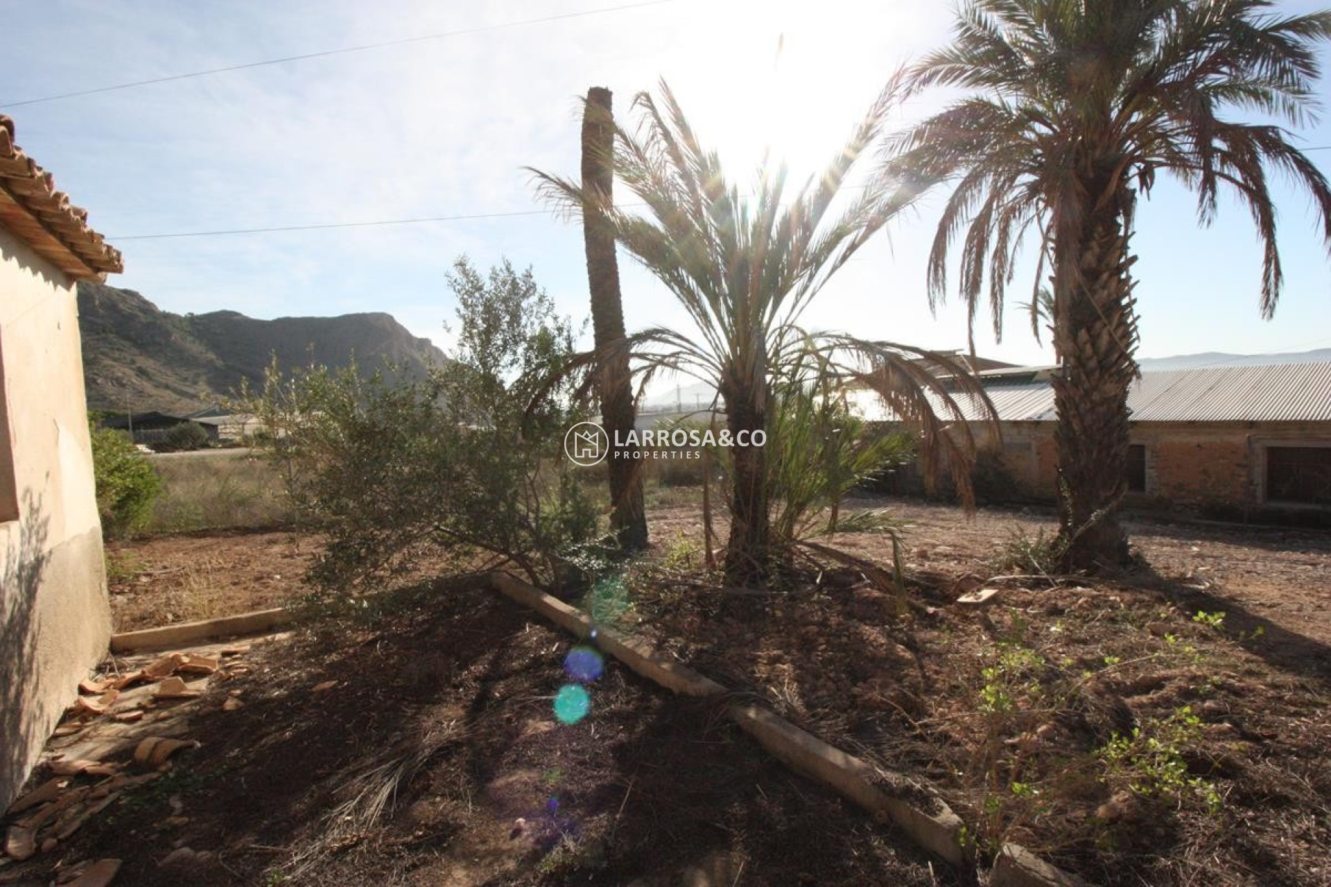 Reventa - Solar/Terrena/Parcelas - Orihuela - La Aparecida