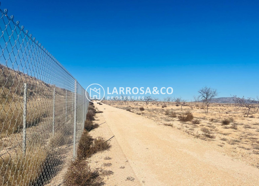 Reventa - Solar/Terrena/Parcelas - Pinoso - A 2 km de la ciudad