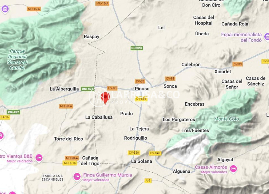 Reventa - Solar/Terrena/Parcelas - Pinoso - A 2 km de la ciudad