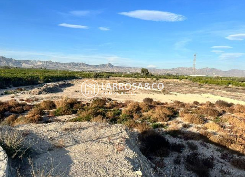 Reventa - Solares/Terrenos/Parcelas - Benferri - Campo