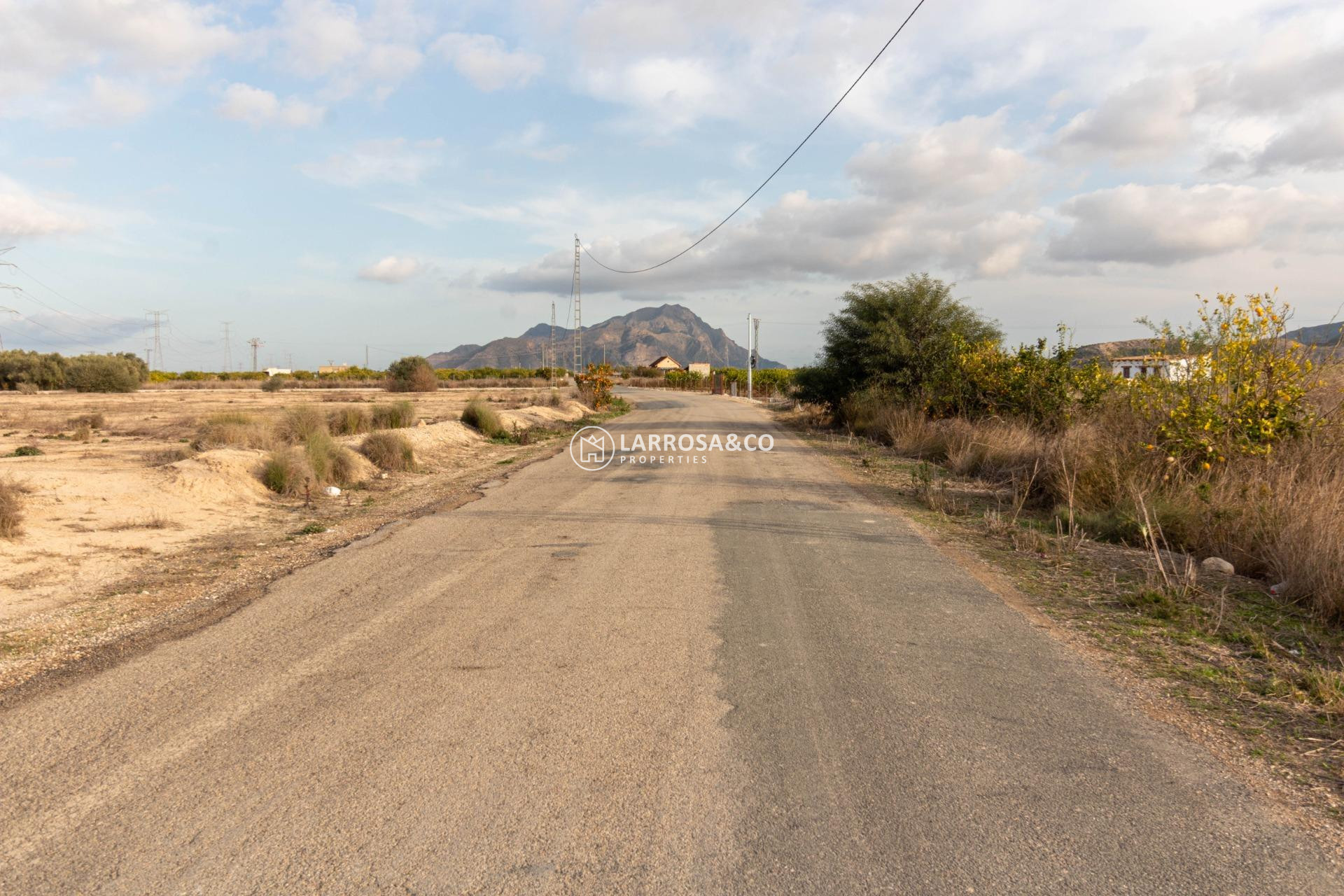 Reventa - Solares/Terrenos/Parcelas - Benferri - Campo