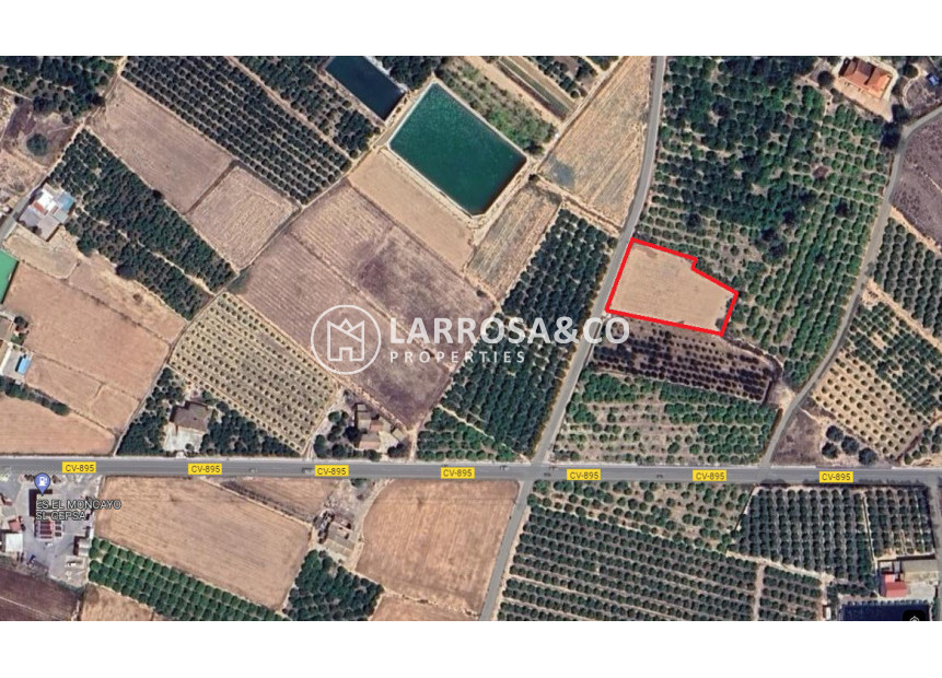 Reventa - Solares/Terrenos/Parcelas - Guardamar del Segura - El Campo