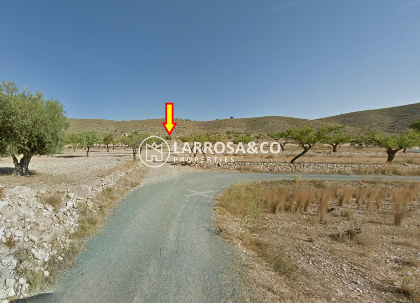 Reventa - Solares/Terrenos/Parcelas - Hondon de las Nieves - REBALSO