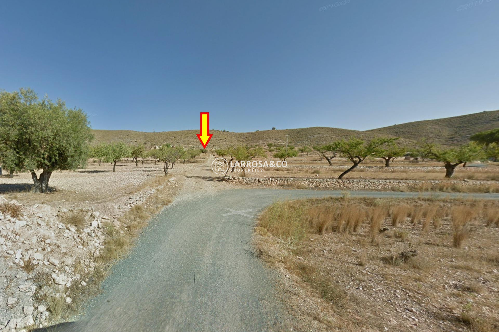 Reventa - Solares/Terrenos/Parcelas - Hondon de las Nieves - REBALSO