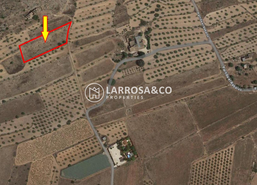 Reventa - Solares/Terrenos/Parcelas - Hondon de las Nieves - REBALSO