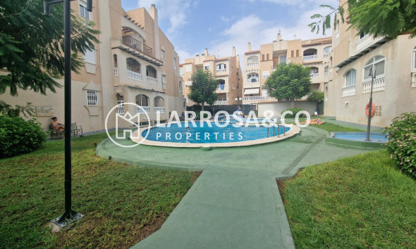 Semi-detached house - Herverkoop - Torrevieja - Estacion de autobuses