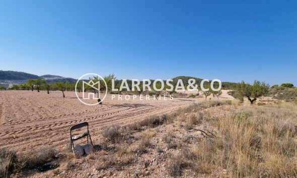 Solar/Terrena/Parcelas - Reventa - Abanilla - ABANILLA