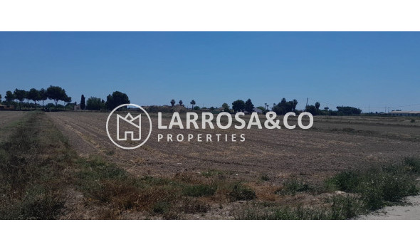 Solares/Terrenos/Parcelas - Reventa - Dolores - RV2391