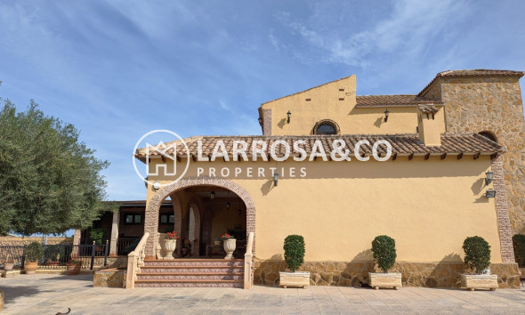 Villa - A Vendre - Bigastro - Inland