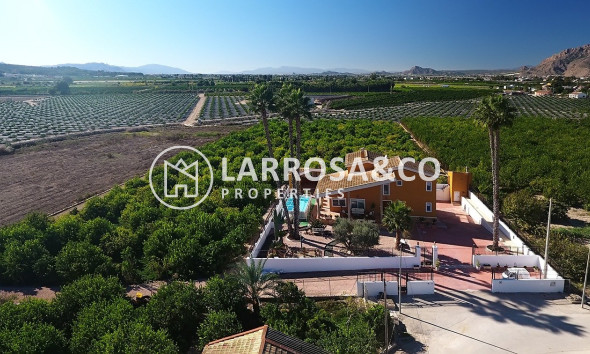 Villa - A Vendre - Orihuela - Orihuela Ciudad