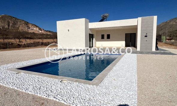 Villa - Nieuwbouw Woningen - Abanilla - CAÑADA DE LA LEÑA