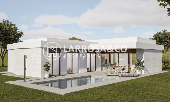 Villa - Nieuwbouw Woningen - Pinoso - Lel