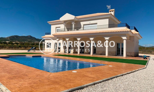 Villa - Nieuwbouw Woningen - Pinoso - ONR-38957