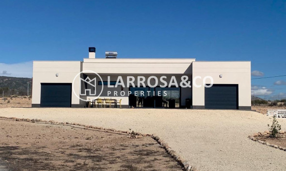 Villa - Nieuwbouw Woningen - Pinoso - ONR-94418