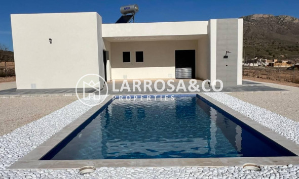 Villa - Nouvelle Construction - Hondon de las Nieves - ONR-28939