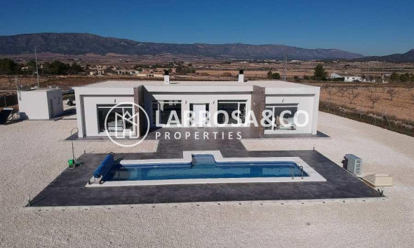 Villa - Nouvelle Construction - Pinoso - ONR-55101