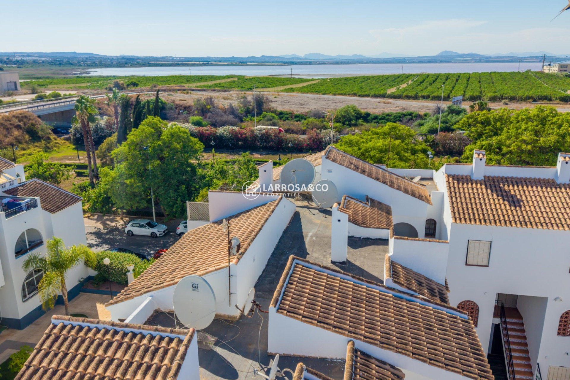 Вторичный рынок - Apartament / Duplex - Торревьеха - torrevieja
