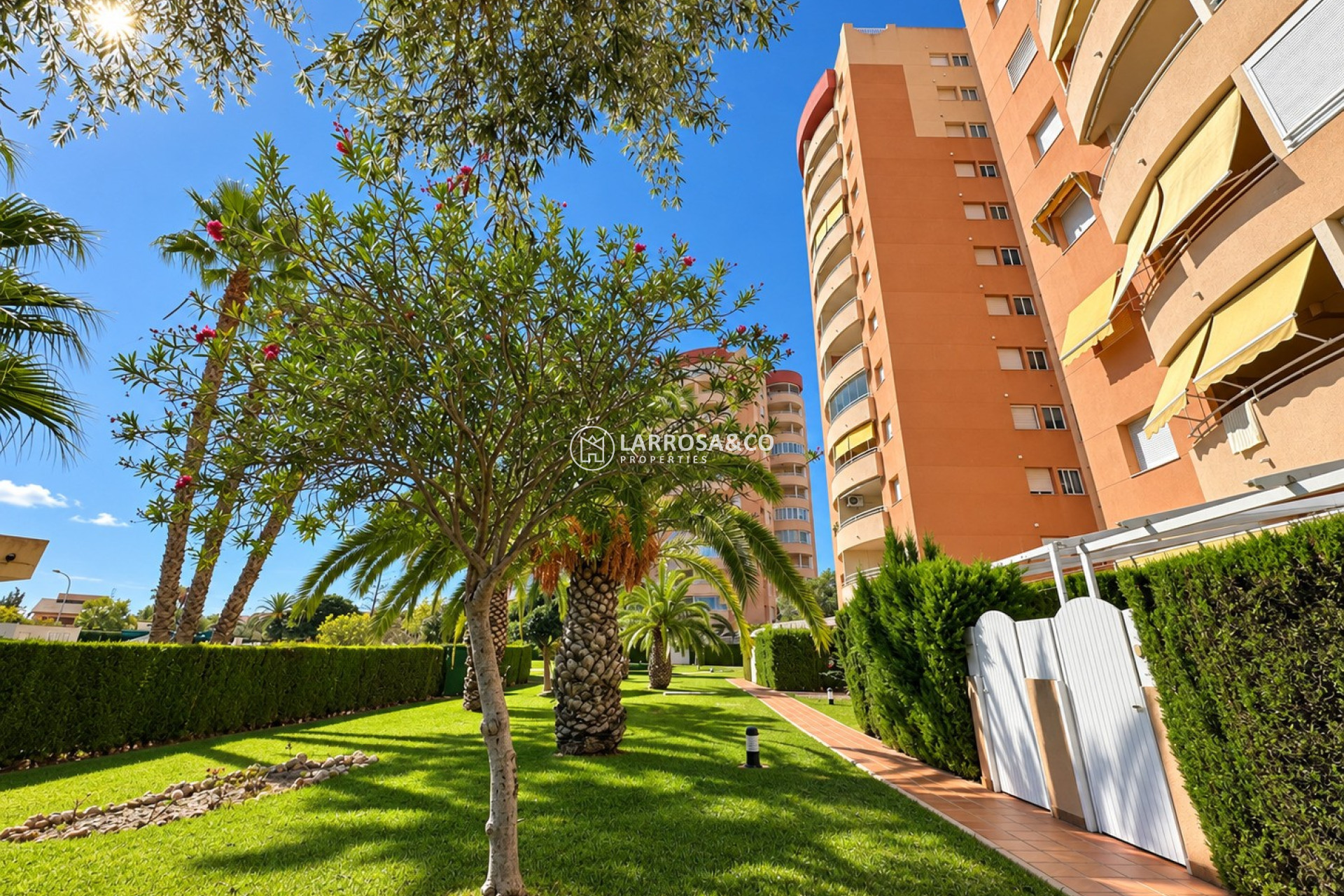 Вторичный рынок - Apartment / Duplex - Ориуела Коста - Campoamor