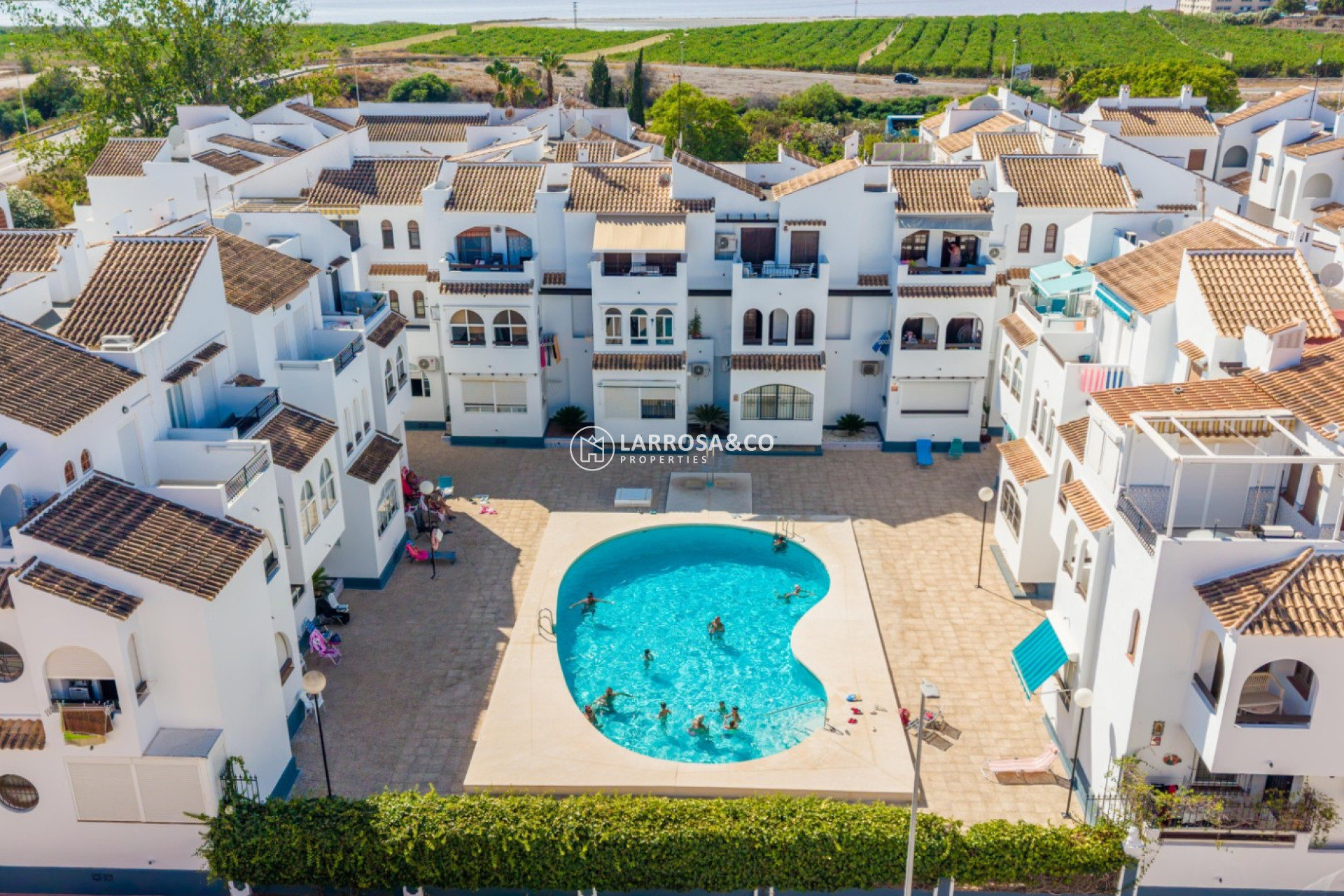 Вторичный рынок - Apartment / Duplex - Торревьеха - torrevieja