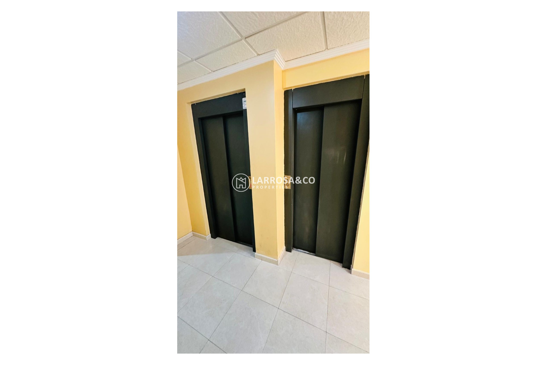 Вторичный рынок - Apartment / Duplex - Торревьеха - torrevieja