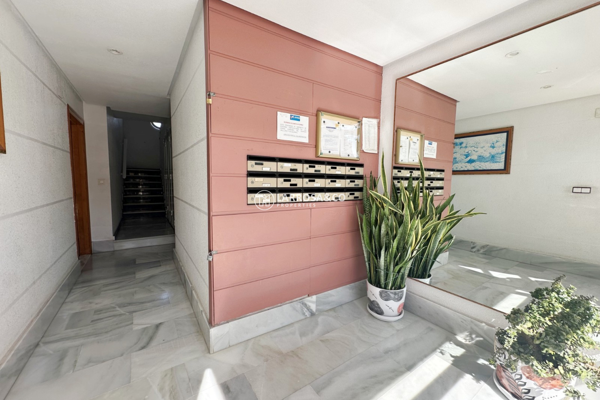 Вторичный рынок - Apartment / Duplex - Торревьеха - torrevieja