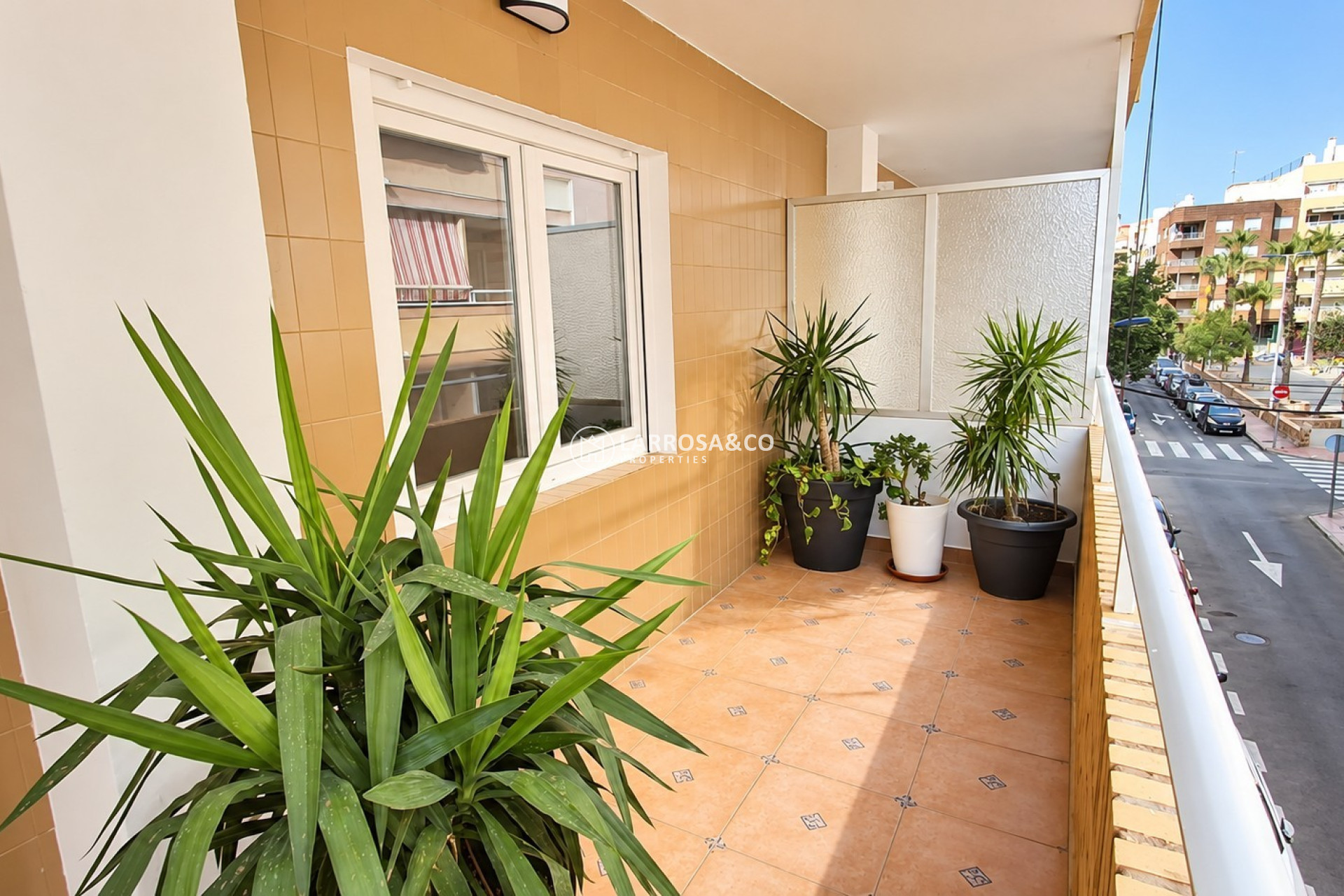 Вторичный рынок - Apartment / Duplex - Торревьеха - torrevieja