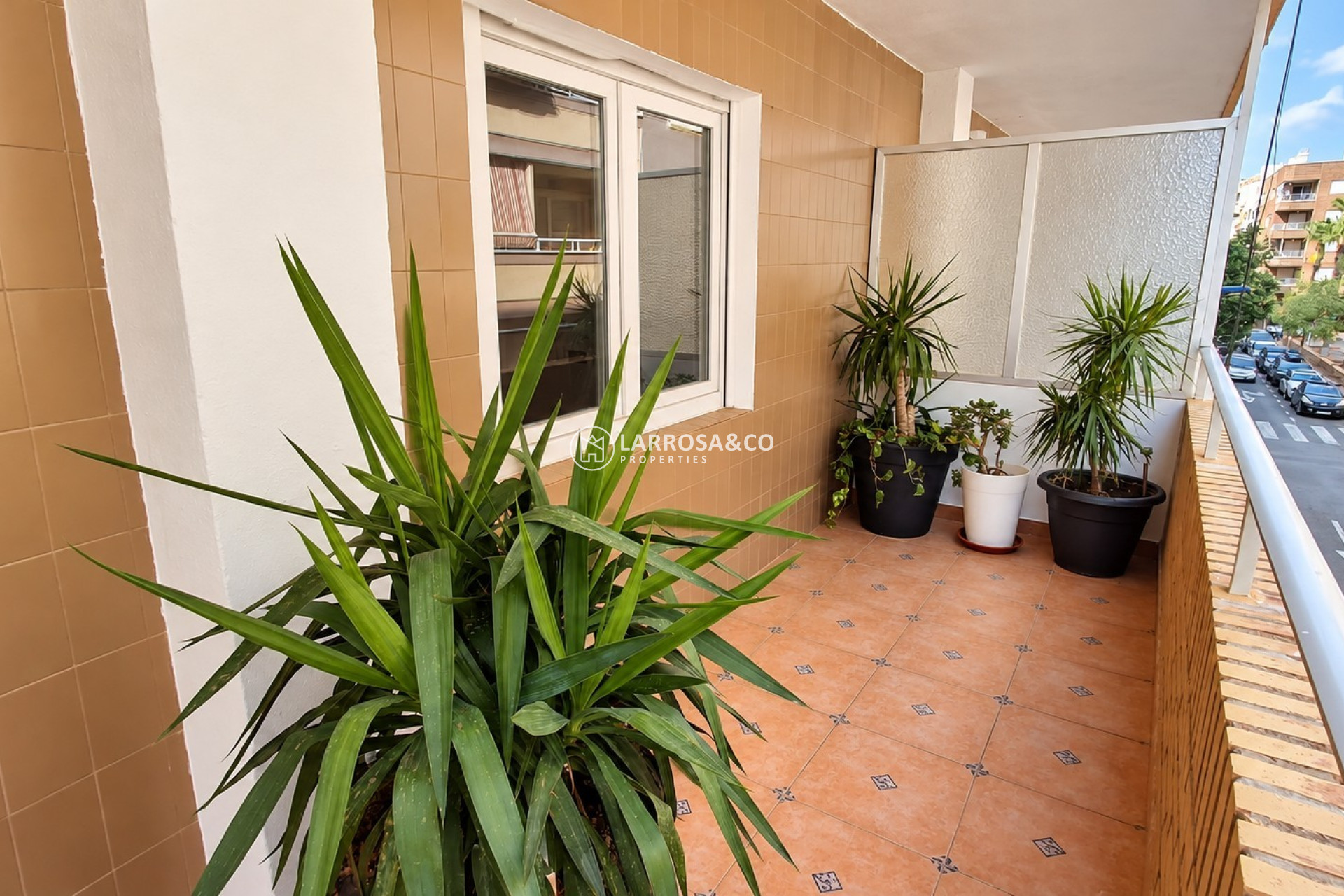 Вторичный рынок - Apartment / Duplex - Торревьеха - torrevieja