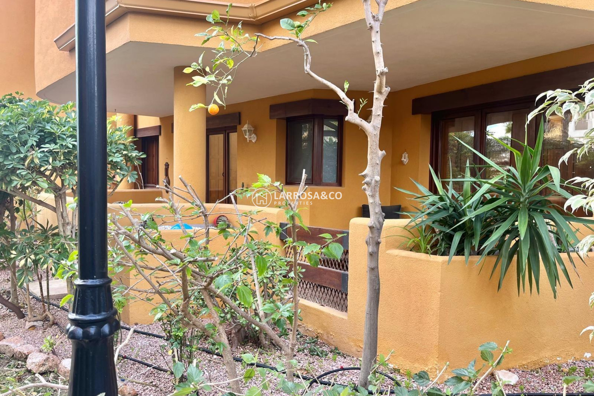 Вторичный рынок - Бунгало - Торревьеха - Пунта Прима